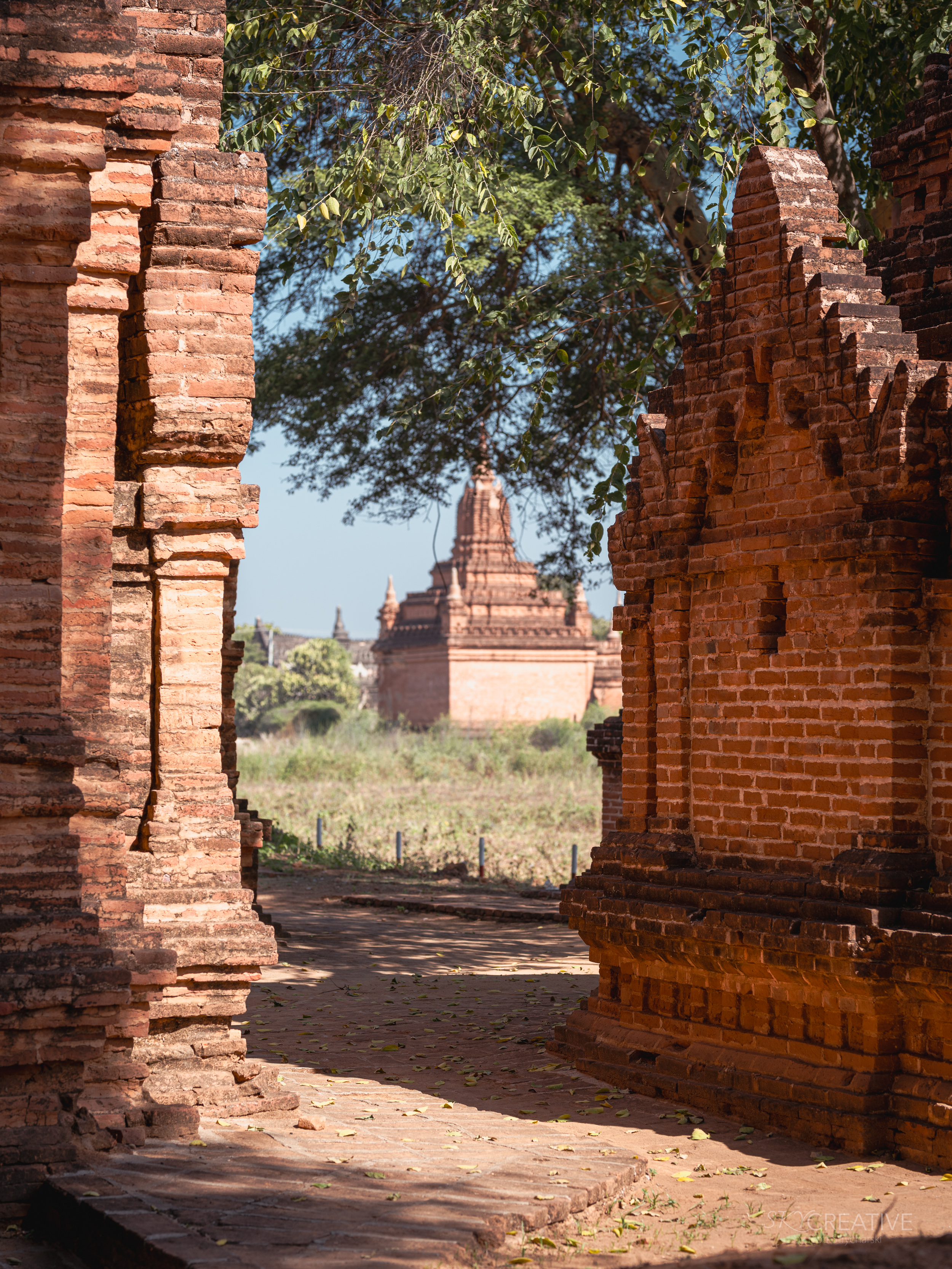 Tajlandia - przyroda