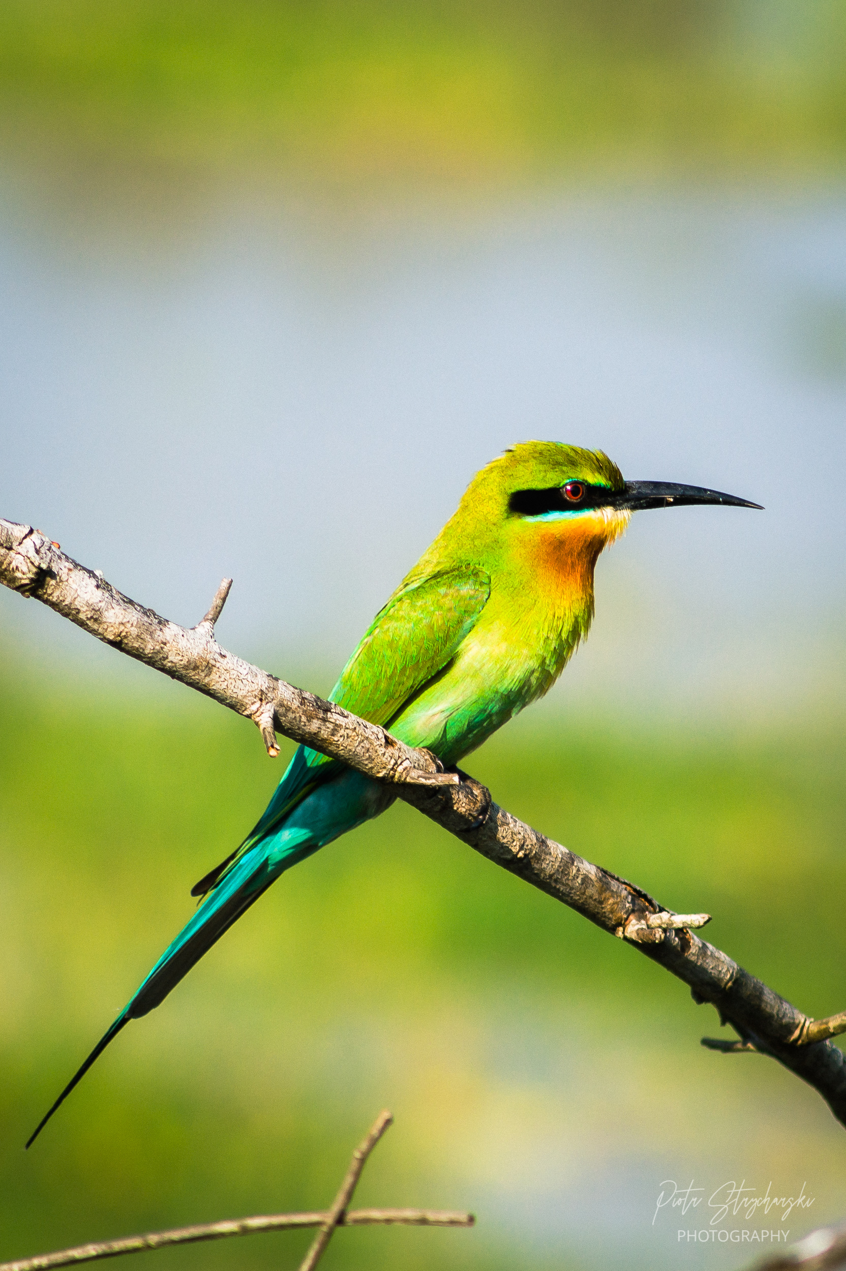 Przyroda - naturalny krajobraz